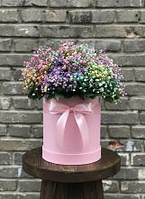 Цветочная композиция из Гипсофила и Розы в шляпной коробке в Новоузенске