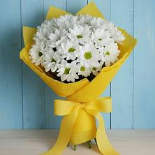 Букет цветов из:  Хризантемы в Новоузенске