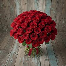 Букет 55 Красных роз Фридом #REPLACE_PRED# Новоузенске