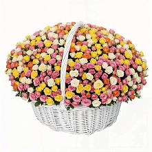 Премиум букет из: Розы в Новоузенске