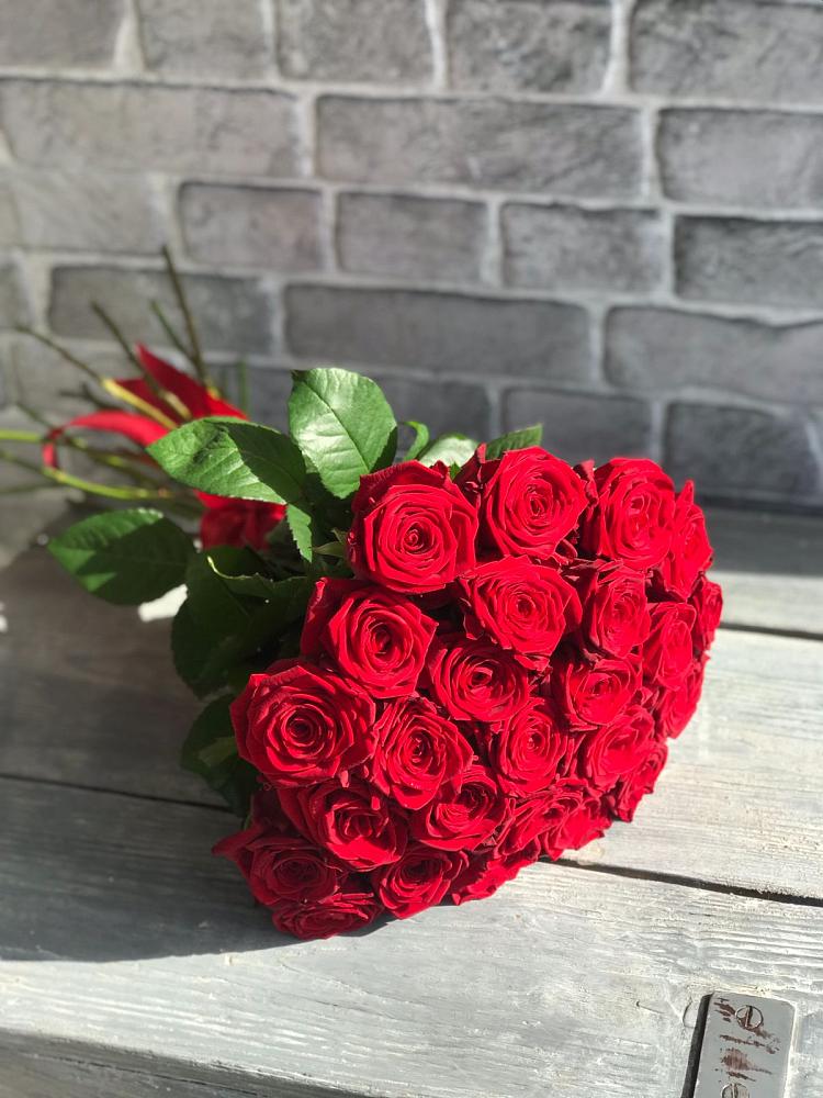 Букет Красные розы Фридом в Новоузенске