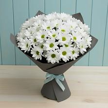 Букет цветов из:  Хризантемы в Новоузенске