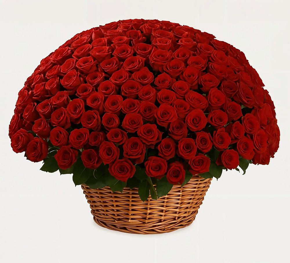 Премиум букет из: Розы в Новоузенске