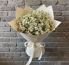 Букет цветов из:  Ромашки в Новоузенске