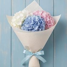 Букет цветов из:  Гортензия в Новоузенске