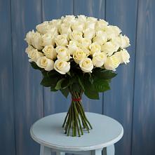 Букет 51 Белая роза Эдлесс Лав #REPLACE_PRED# Новоузенске