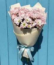 Букет цветов из:  Хризантемы в Новоузенске