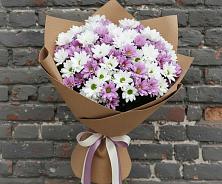 Букет цветов из:  Хризантемы в Новоузенске