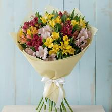 Букет цветов из:  Альстромерии в Новоузенске