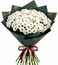 Букет цветов из:  Хризантемы в Новоузенске