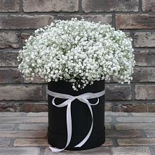 Цветочная композиция из Гипсофила в шляпной коробке в Новоузенске