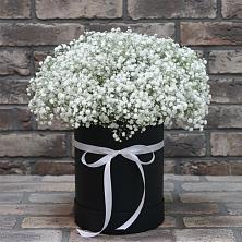 Цветочная композиция из Гипсофила в шляпной коробке в Новоузенске